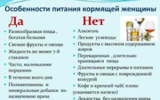 Почему нельзя грибы при грудном вскармливании. Все о шампиньонах при грудном вскармливании и принципах вкусного питания кормящей маме на заметку
